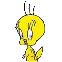 Gif Titi étonné